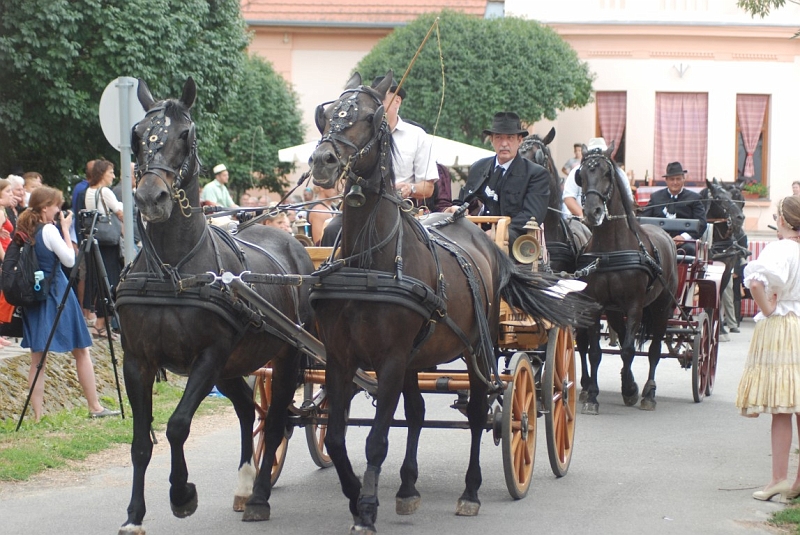 DSC_1745 (Medium).JPG
